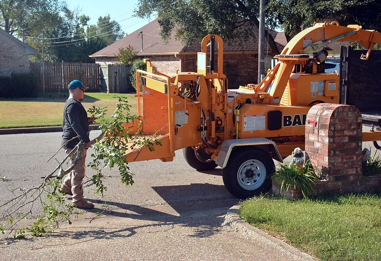 Branches being fed through a wood chipper