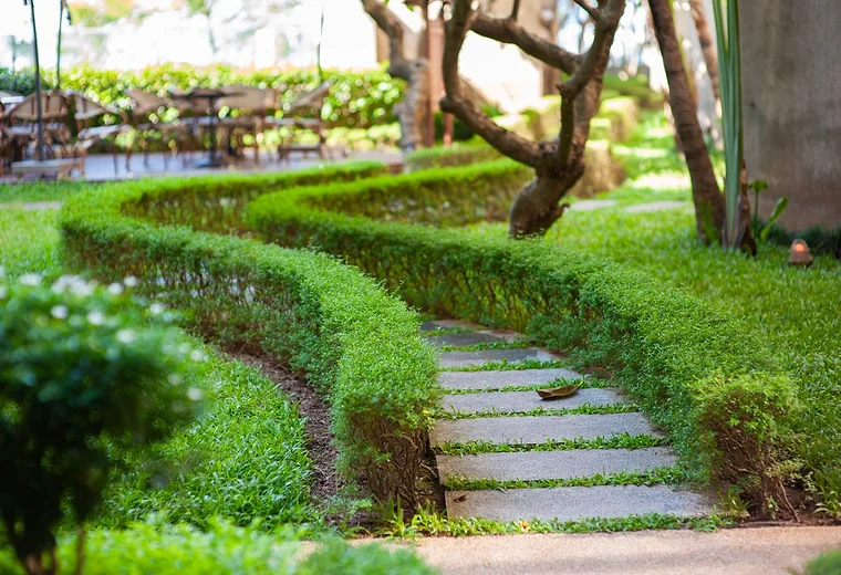 A tidy, cleared garden